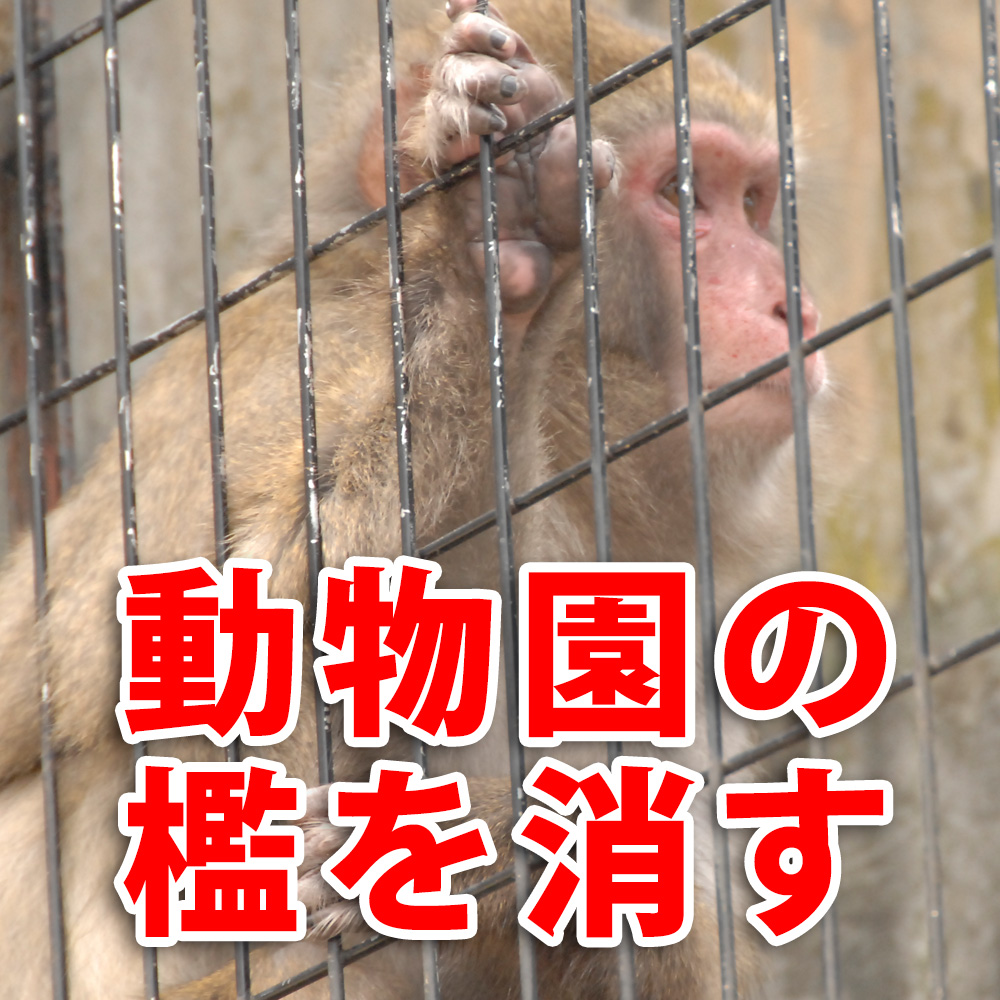 動物園の檻を撮影テクニックで消してみる ホームページ制作 オフィスオバタ