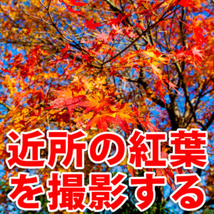 Thumbnail of new posts 174